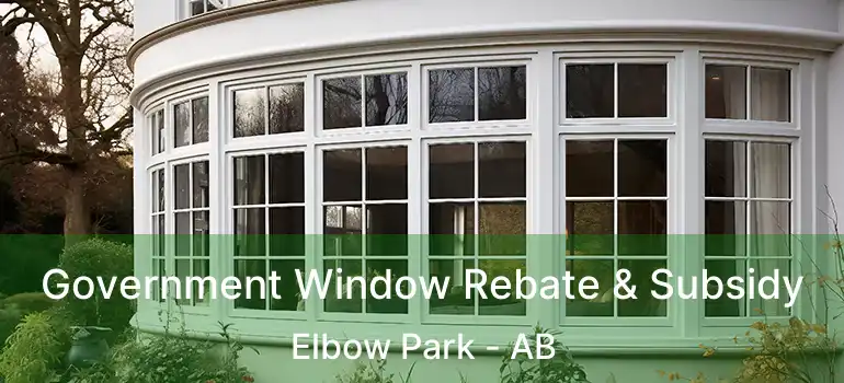  Government Window Rebate & Subsidy Elbow Park - AB