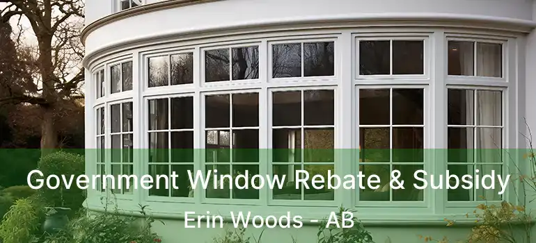  Government Window Rebate & Subsidy Erin Woods - AB