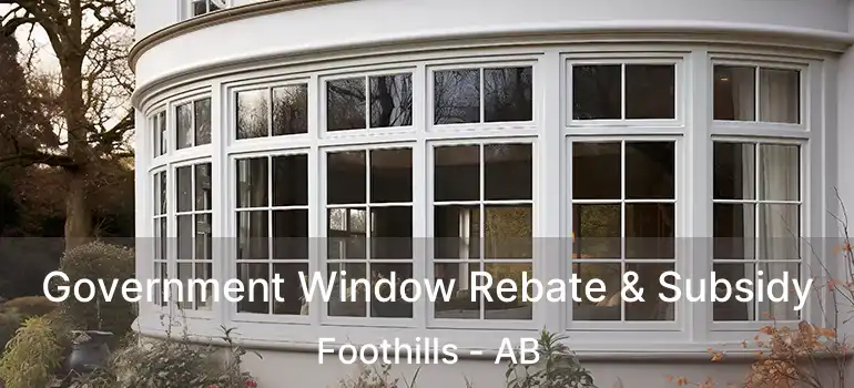  Government Window Rebate & Subsidy Foothills - AB