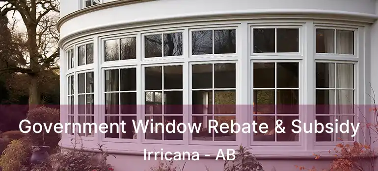  Government Window Rebate & Subsidy Irricana - AB