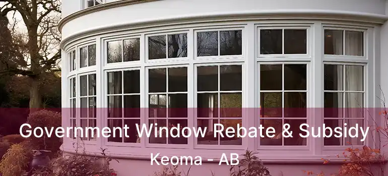  Government Window Rebate & Subsidy Keoma - AB