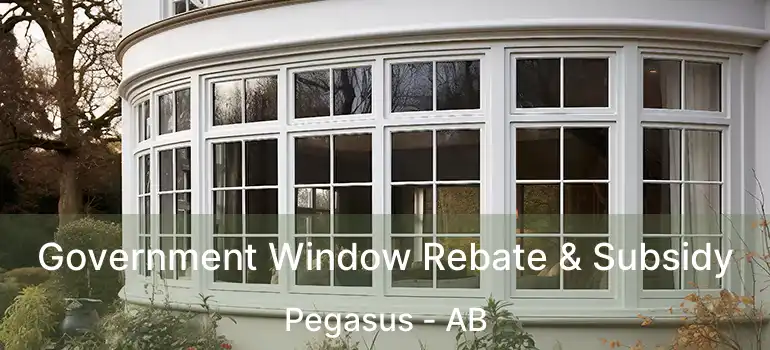  Government Window Rebate & Subsidy Pegasus - AB
