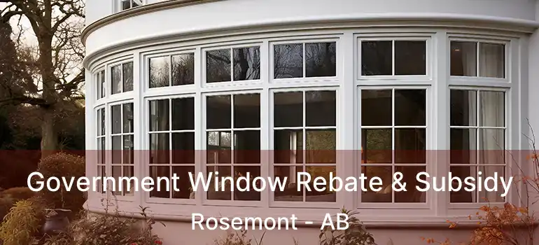  Government Window Rebate & Subsidy Rosemont - AB