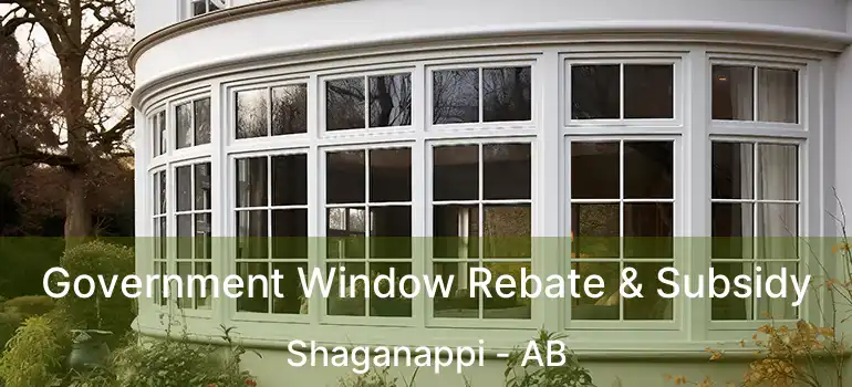  Government Window Rebate & Subsidy Shaganappi - AB