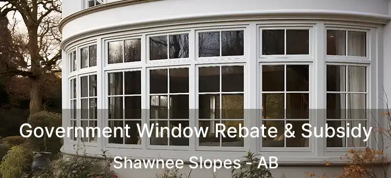  Government Window Rebate & Subsidy Shawnee Slopes - AB