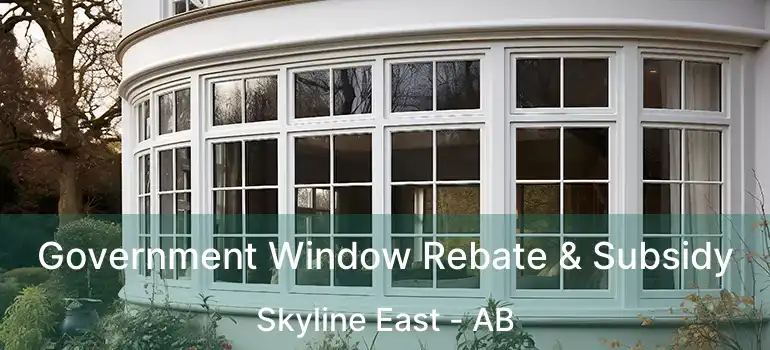  Government Window Rebate & Subsidy Skyline East - AB