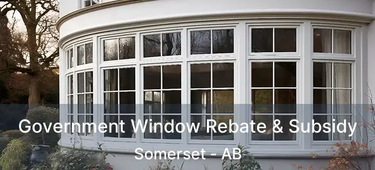  Government Window Rebate & Subsidy Somerset - AB