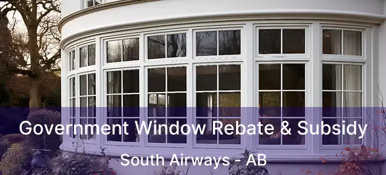  Government Window Rebate & Subsidy South Airways - AB