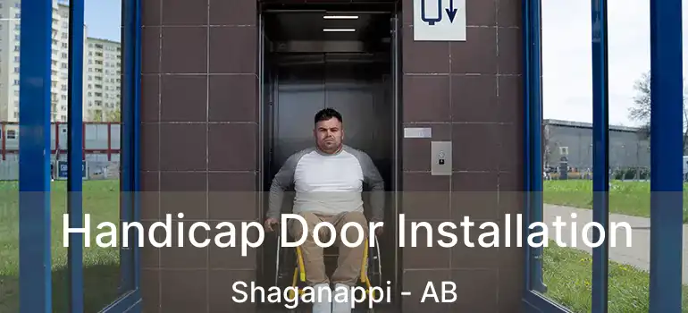  Handicap Door Installation Shaganappi - AB