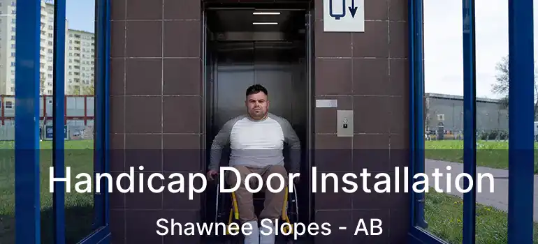 Handicap Door Installation Shawnee Slopes - AB