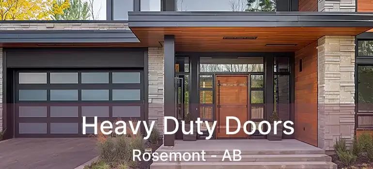  Heavy Duty Doors Rosemont - AB