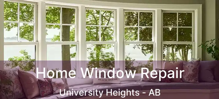  Home Window Repair University Heights - AB