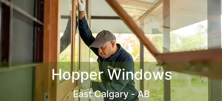  Hopper Windows East Calgary - AB