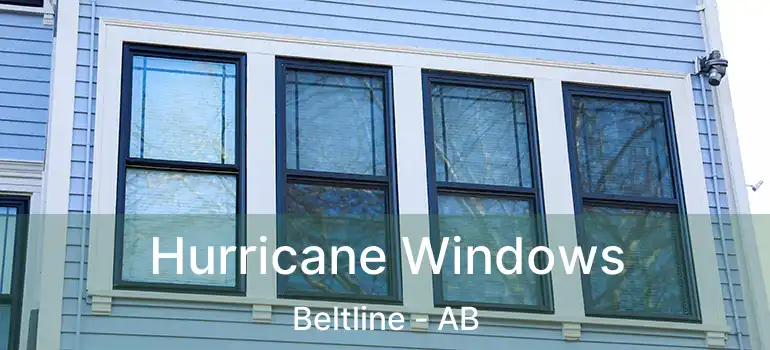  Hurricane Windows Beltline - AB