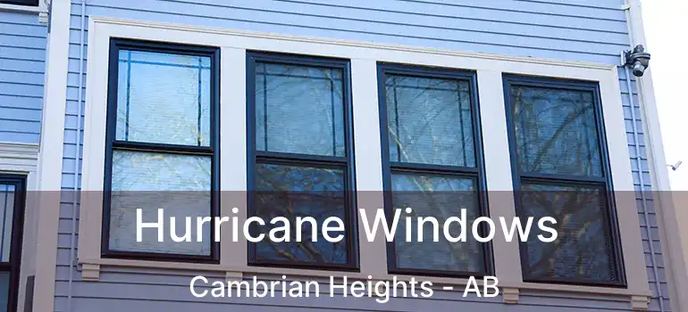  Hurricane Windows Cambrian Heights - AB