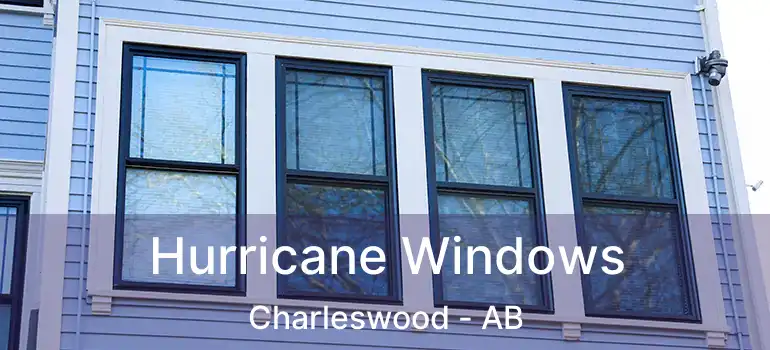  Hurricane Windows Charleswood - AB