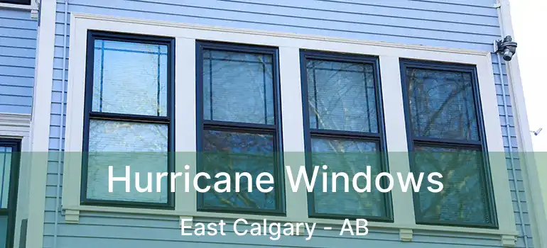  Hurricane Windows East Calgary - AB