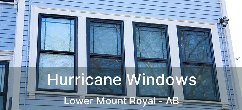  Hurricane Windows Lower Mount Royal - AB