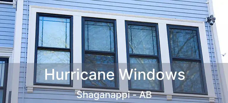  Hurricane Windows Shaganappi - AB