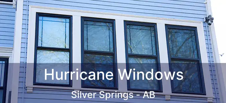  Hurricane Windows Silver Springs - AB