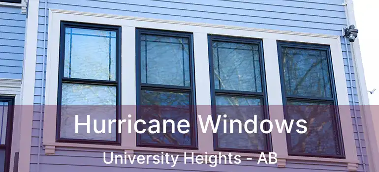  Hurricane Windows University Heights - AB