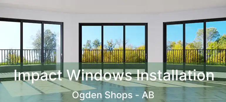  Impact Windows Installation Ogden Shops - AB