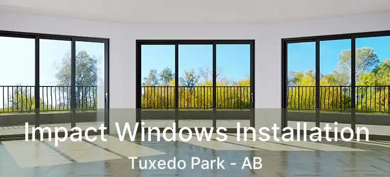  Impact Windows Installation Tuxedo Park - AB