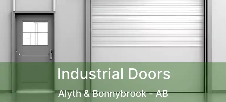 Industrial Doors Alyth & Bonnybrook - AB