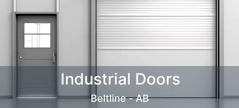  Industrial Doors Beltline - AB