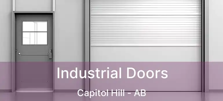  Industrial Doors Capitol Hill - AB