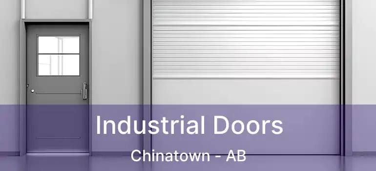  Industrial Doors Chinatown - AB