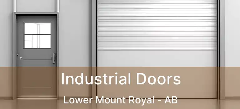  Industrial Doors Lower Mount Royal - AB