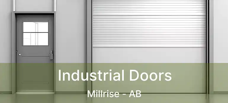  Industrial Doors Millrise - AB