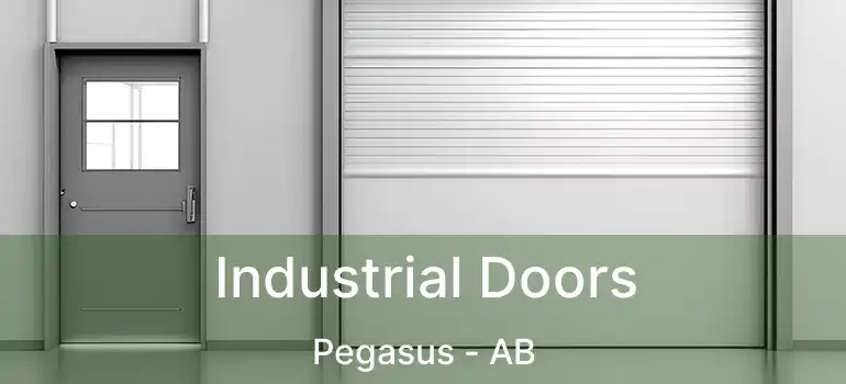  Industrial Doors Pegasus - AB