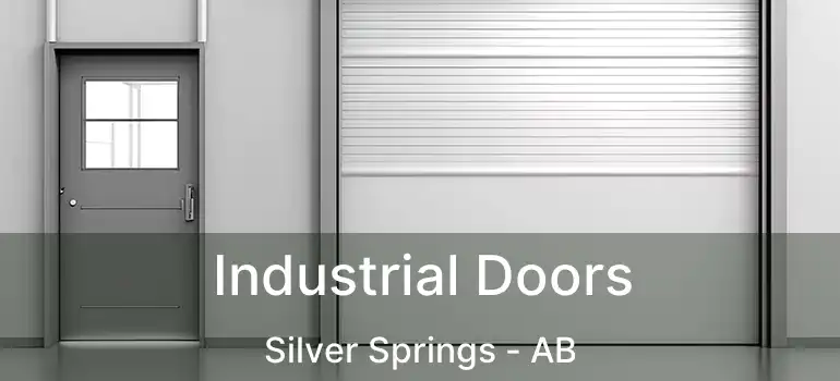  Industrial Doors Silver Springs - AB