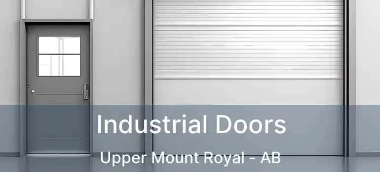  Industrial Doors Upper Mount Royal - AB