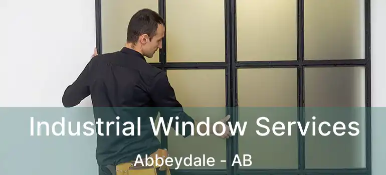  Industrial Window Services Abbeydale - AB