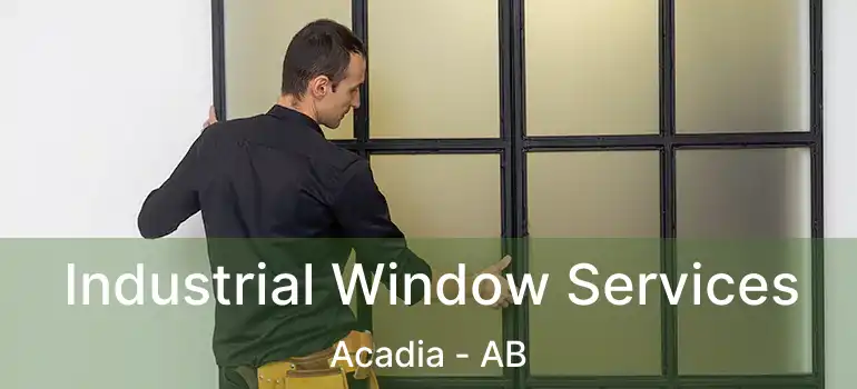  Industrial Window Services Acadia - AB