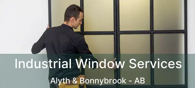  Industrial Window Services Alyth & Bonnybrook - AB