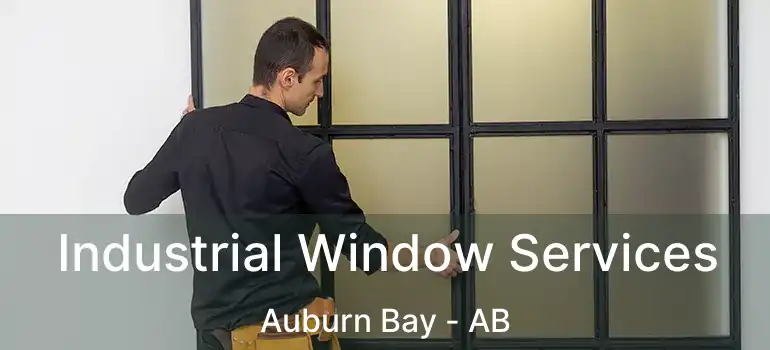  Industrial Window Services Auburn Bay - AB