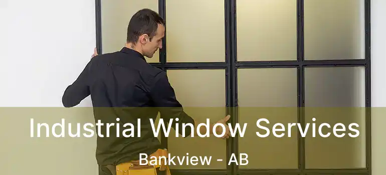  Industrial Window Services Bankview - AB