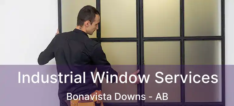  Industrial Window Services Bonavista Downs - AB