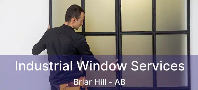  Industrial Window Services Briar Hill - AB