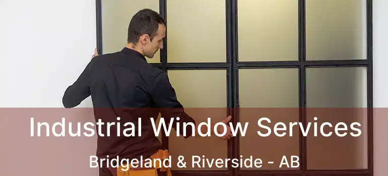  Industrial Window Services Bridgeland & Riverside - AB