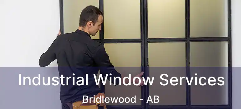  Industrial Window Services Bridlewood - AB