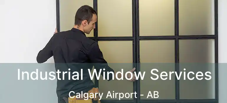  Industrial Window Services Calgary Airport - AB