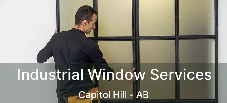  Industrial Window Services Capitol Hill - AB