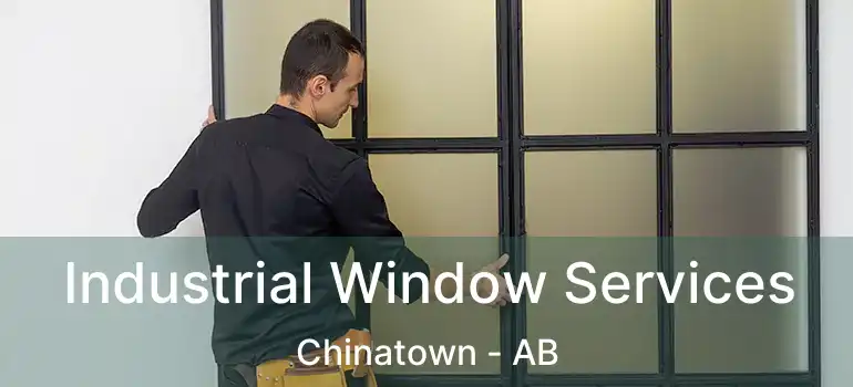  Industrial Window Services Chinatown - AB