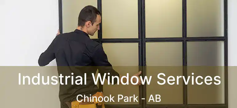 Industrial Window Services Chinook Park - AB