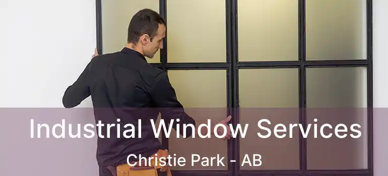  Industrial Window Services Christie Park - AB